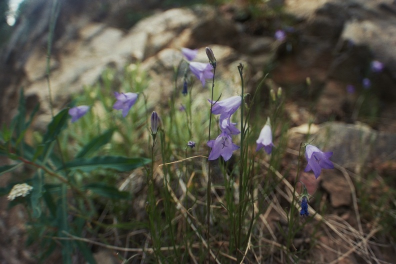 Baker Gulch Trail 14.jpg